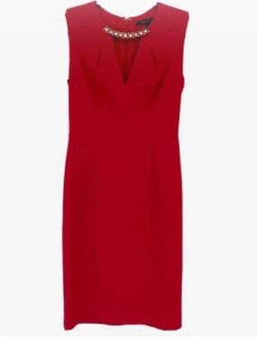 BCBG Dress